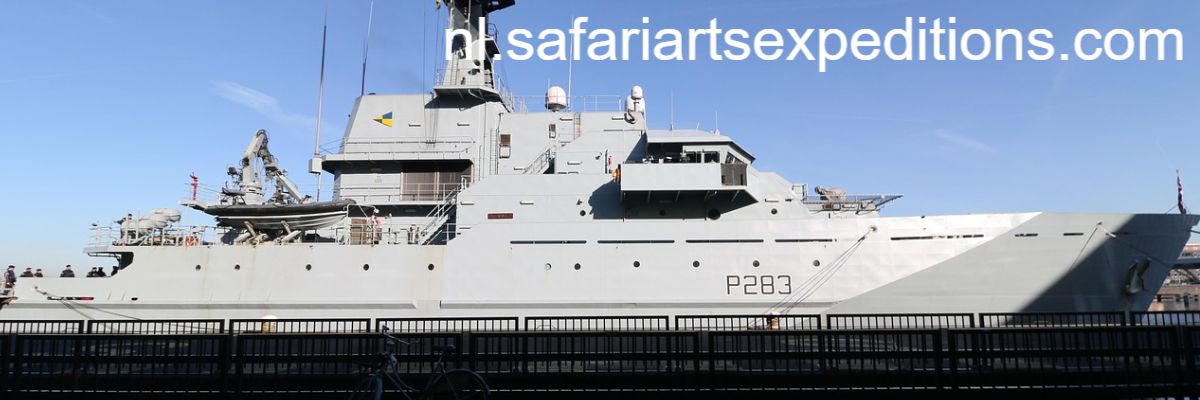 nl.safariartsexpeditions.com